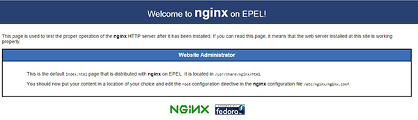 NGINX-success-installed